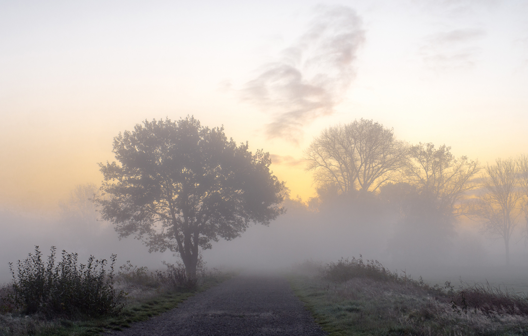 Nebliger Morgen