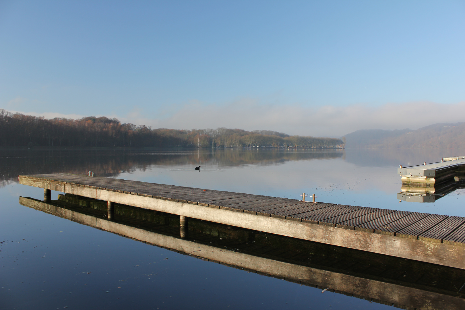 nebliger Morgen am Baldeneysee 2