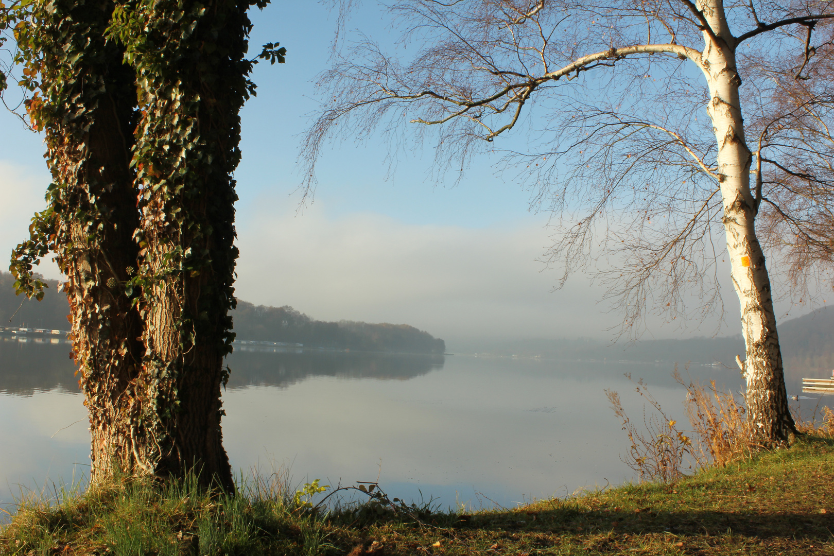 nebliger Morgen am Baldeneysee Essen