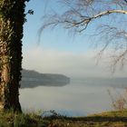 nebliger Morgen am Baldeneysee Essen