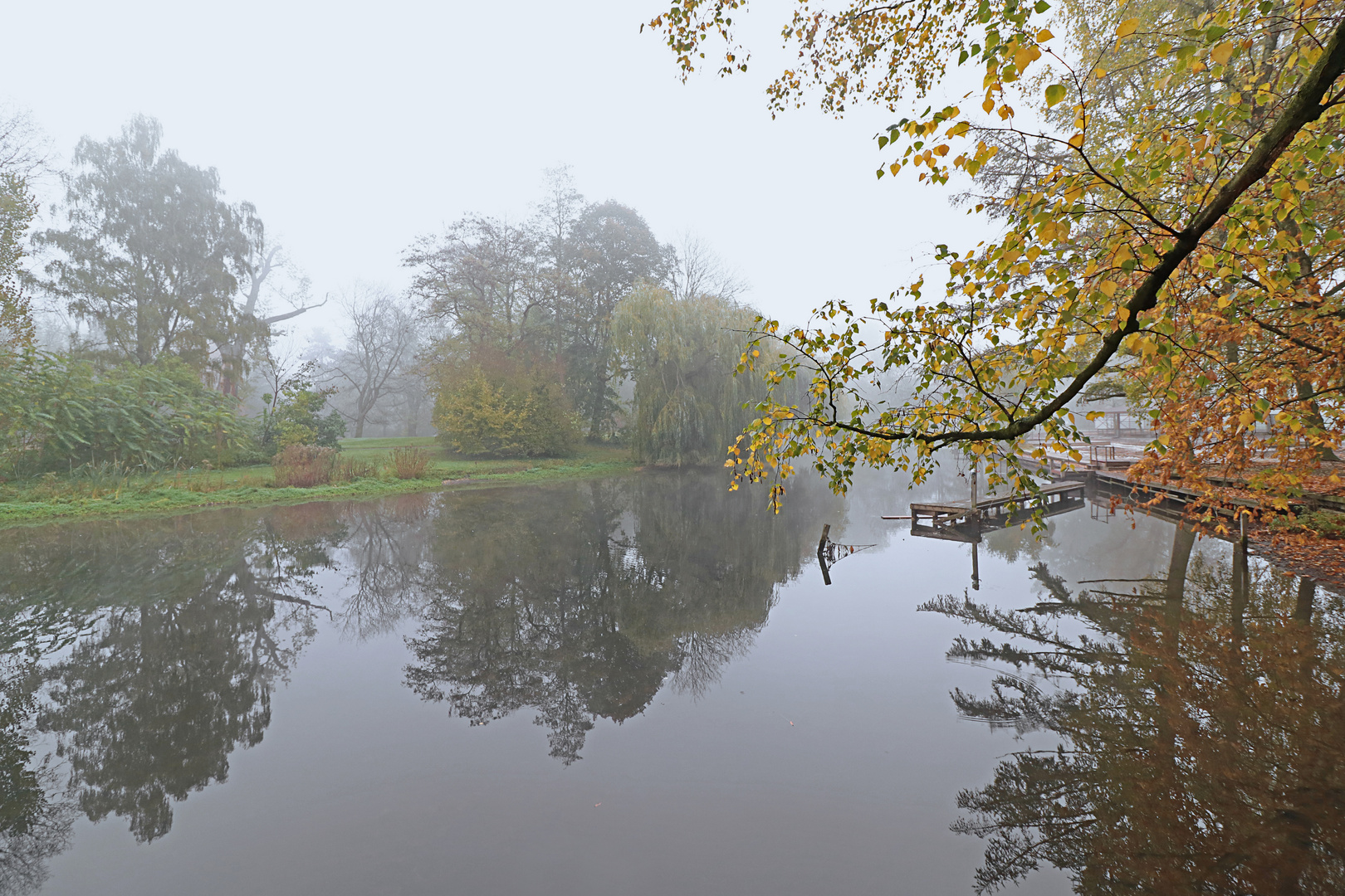 Nebliger Morgen am Fluss