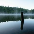 nebliger Morgen am Hollersee