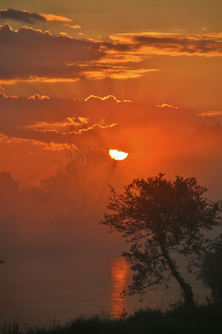 nebliger Morgen an der Amper