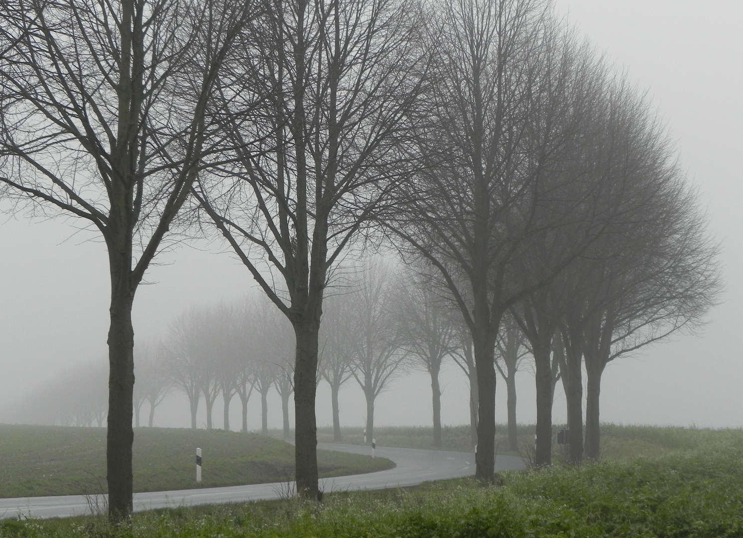 Nebliger Morgen auf der Haar