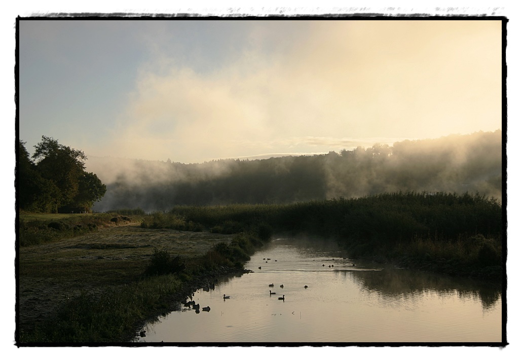 Nebliger Morgen Ende September