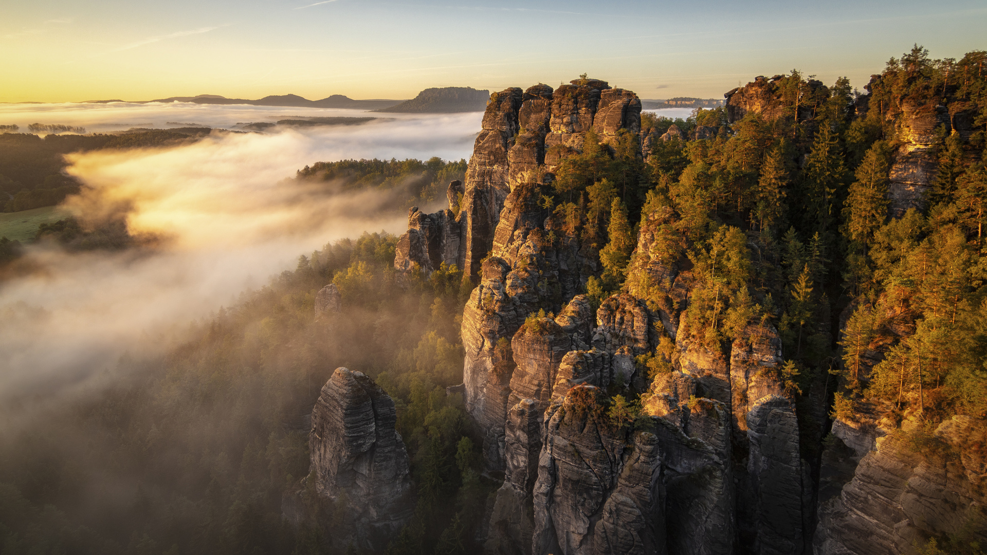 Nebliger Morgen im Elbsandsteingebirge