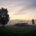 Nebliger Morgen im Taubertal