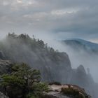 Nebliger Morgen in den Schrammsteinen