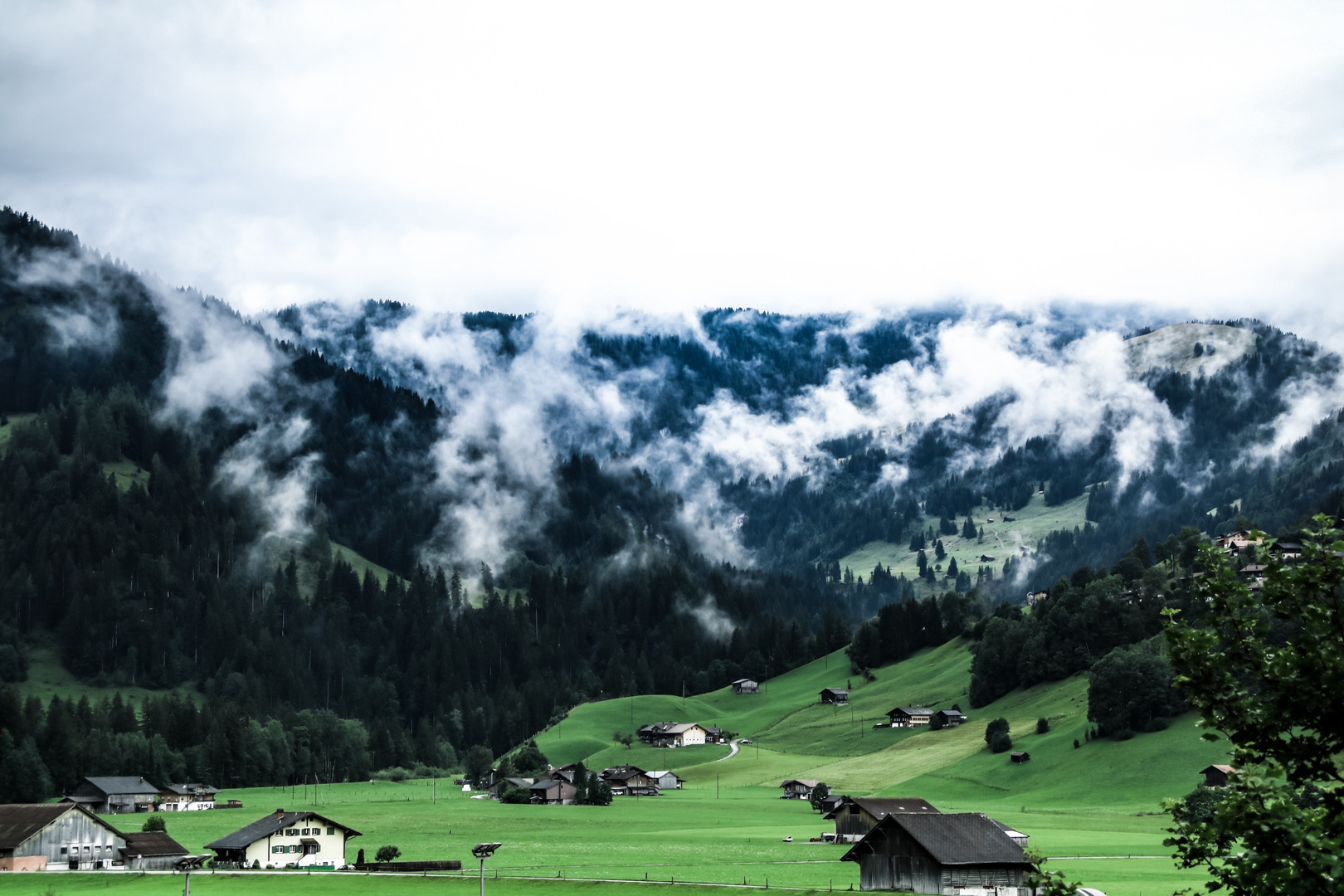 Nebliger Morgen in der Schweiz