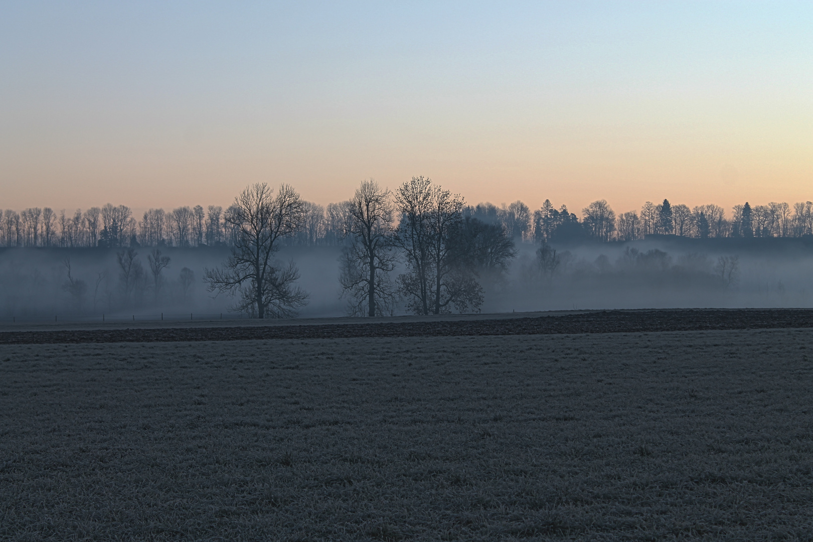 Nebliger Nachweihnachtsmorgen