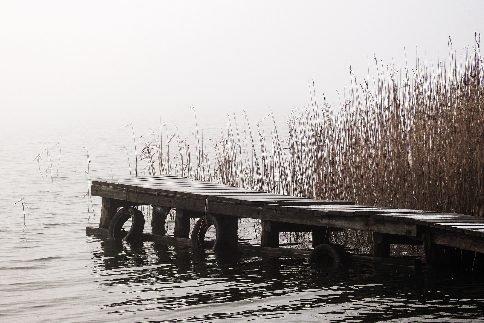 nebliger Neujahrsmorgen 2016 am Darßer Bodden (Born)