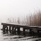 nebliger Neujahrsmorgen 2016 am Darßer Bodden (Born)