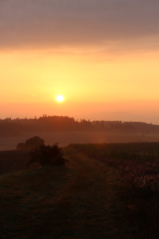 Nebliger Sonnenaufgang