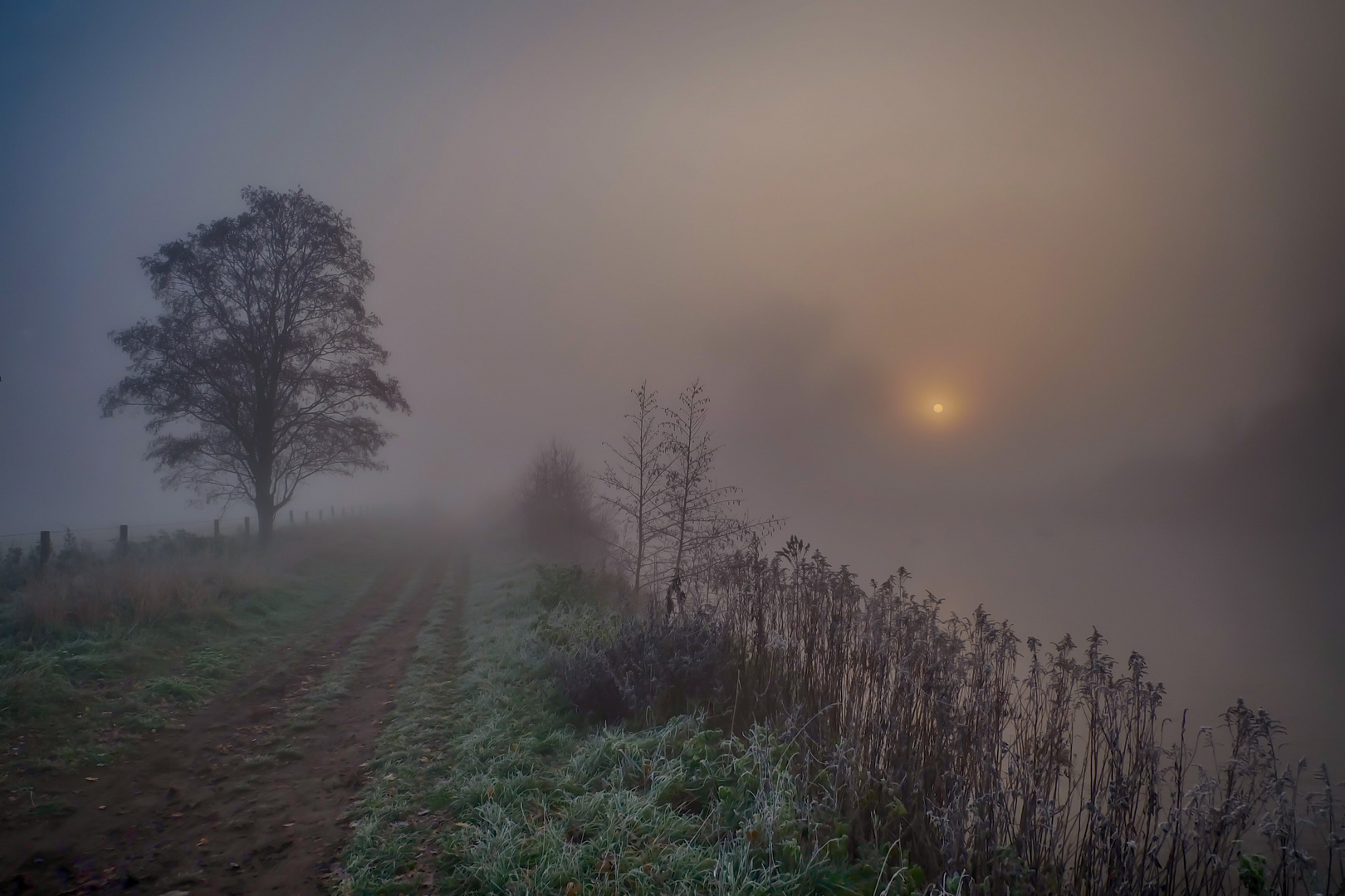 Nebliger Sonnenaufgang