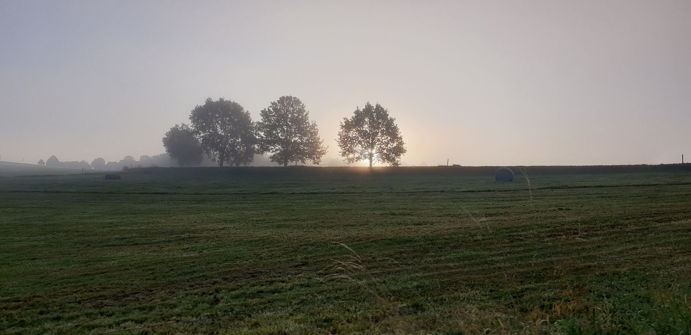 °Nebliger Sonnenaufgang°