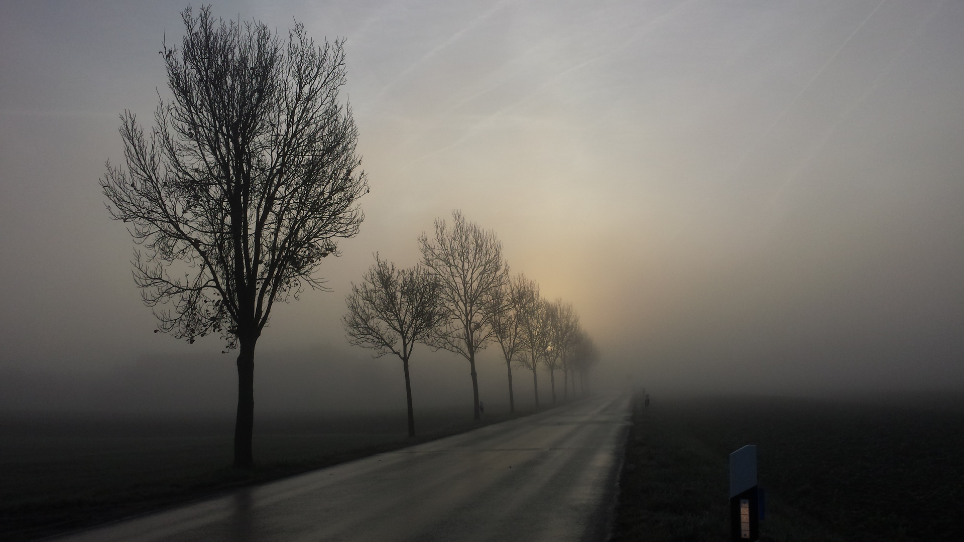 nebliger Sonnenaufgang