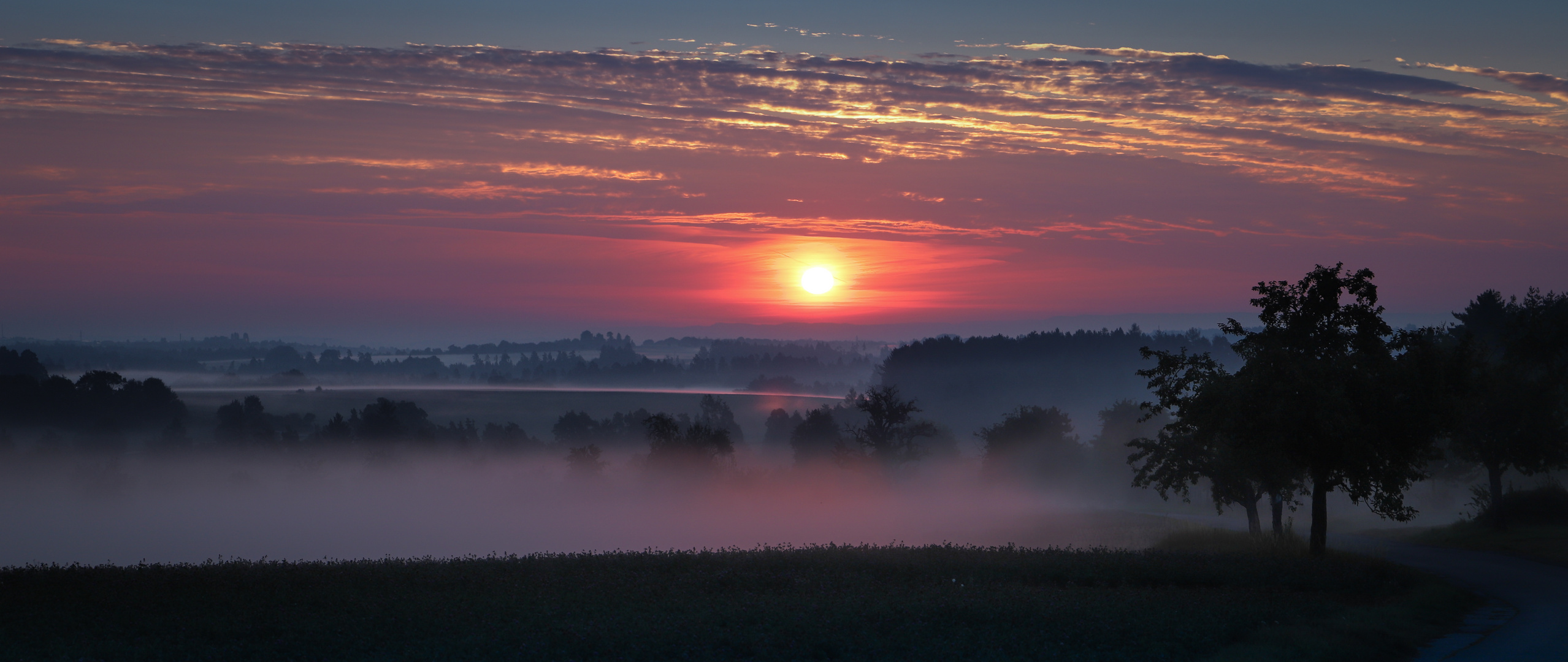 Nebliger Sonnenaufgang