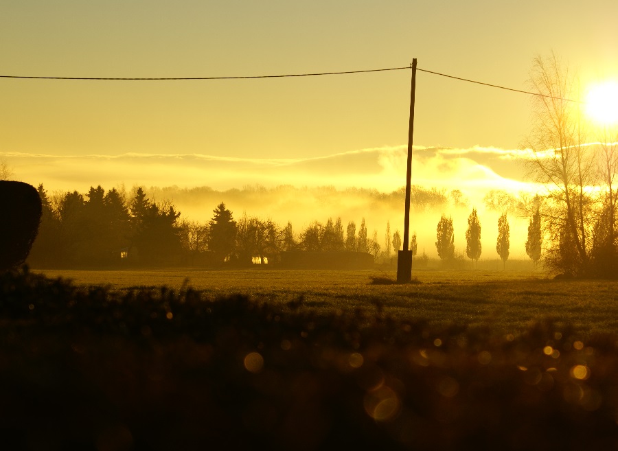 Nebliger Sonnenaufgang