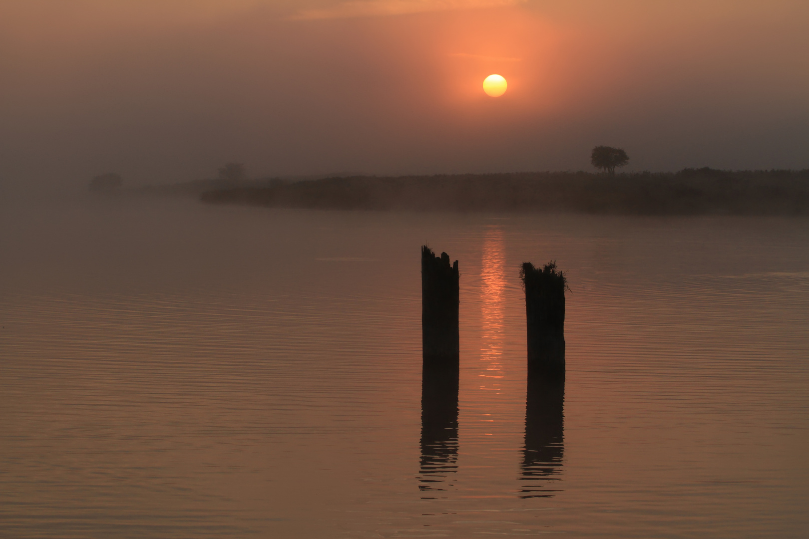 nebliger Sonnenaufgang am Lanker See