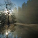 Nebliger Sonnenaufgang am Waldsee