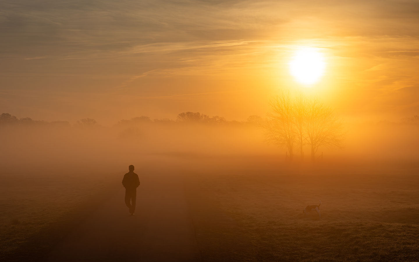 Nebliger Sonnenaufgang an der Elbe