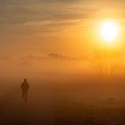 Nebliger Sonnenaufgang an der Elbe