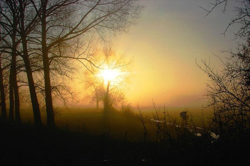 nebliger Sonnenaufgang