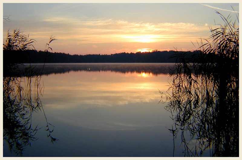 nebliger Sonnenaufgang im August...