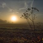 nebliger sonnenaufgang im herbst