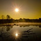 Nebliger Sonnenaufgang im Schwenninger Moos