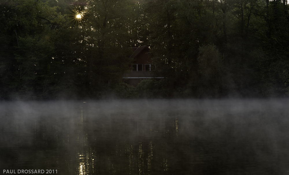 "nebliger Sonnenaufgang in der Heide"