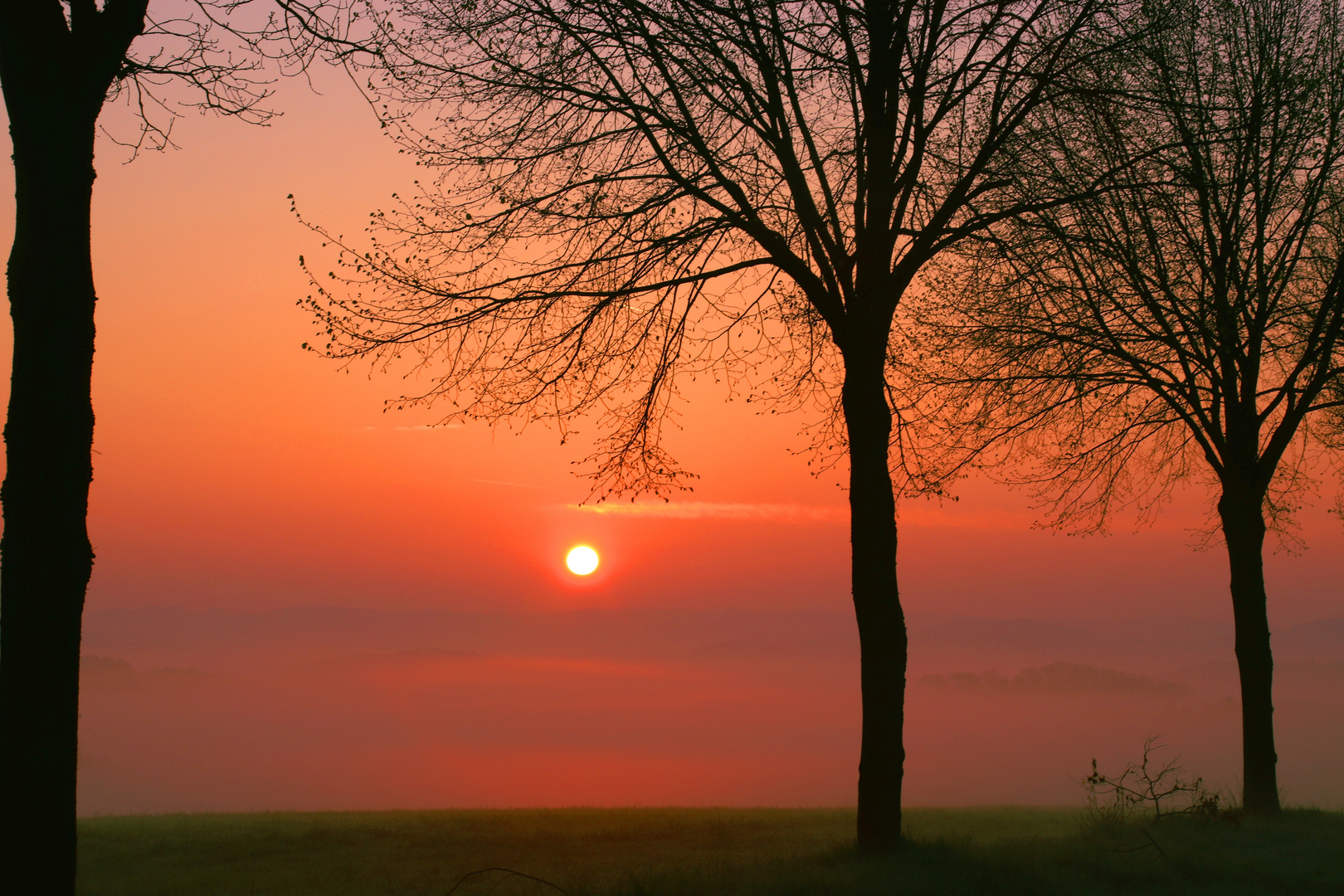 Nebliger Sonnenaufgang über dem Oberbergischen