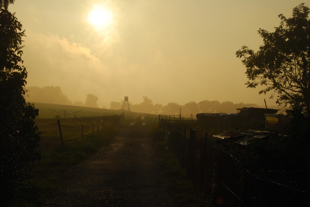 Nebliger Sonnenuntergang