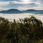 Nebliger Tagesbeginn am Krappenfelsen