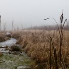 nebliger Wasserkanal