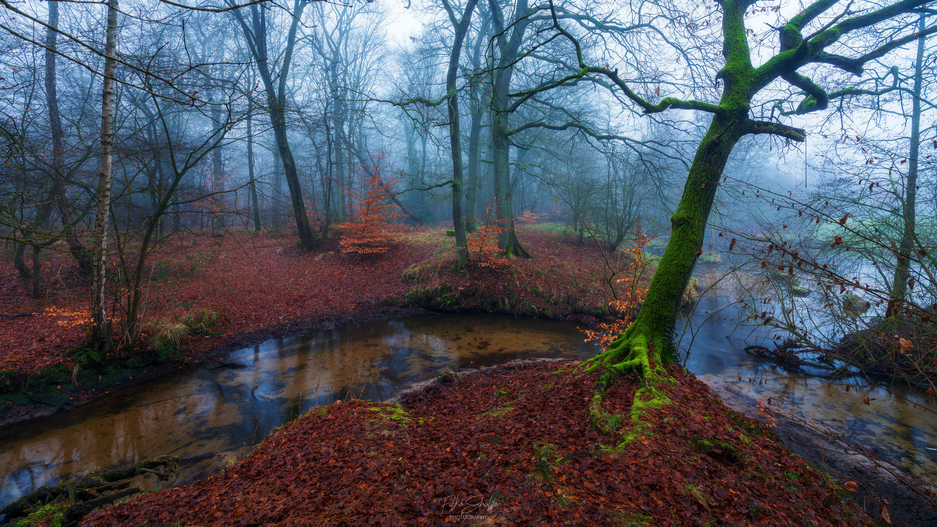 Nebliger Wintermorgen