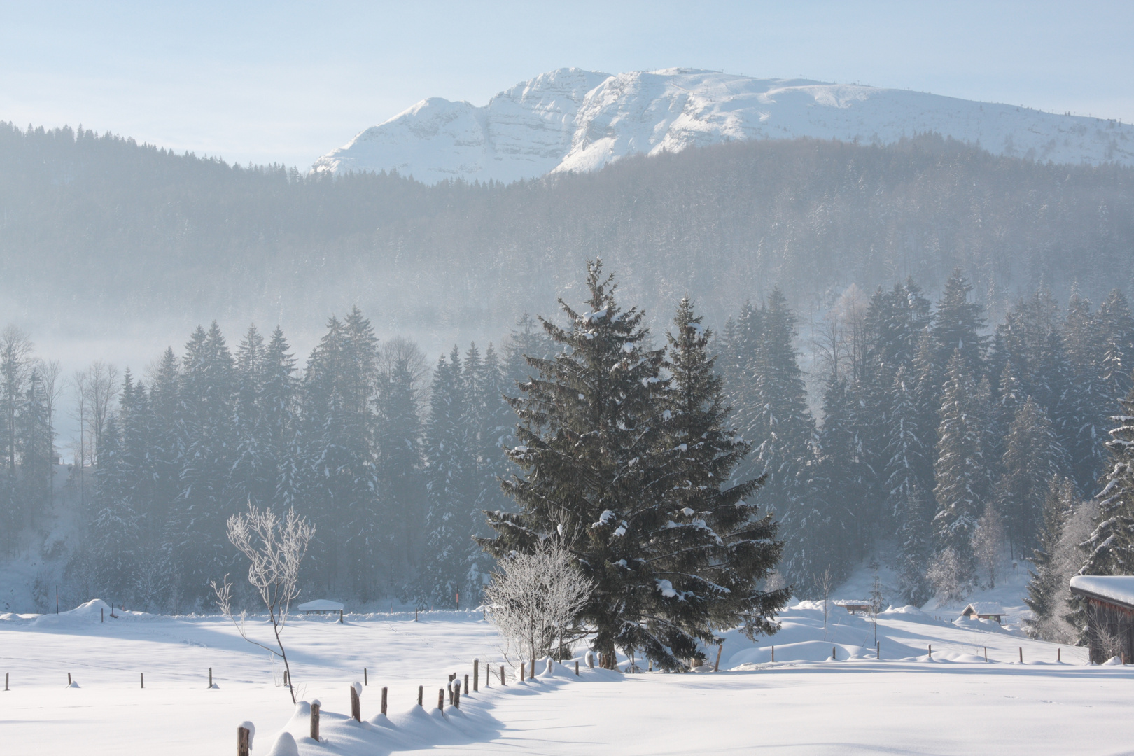 Nebliger Wintermorgen