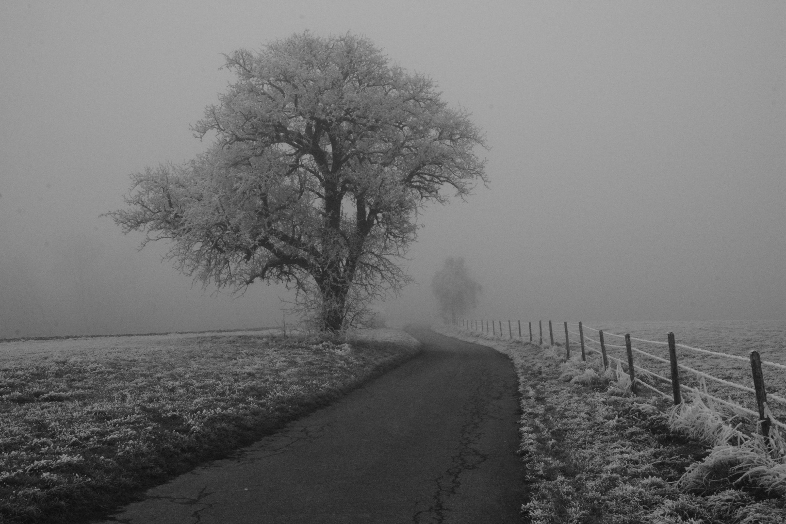 Nebliger Wintertag