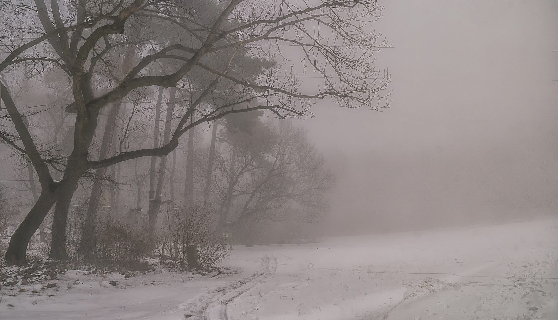 Nebliger Wintertag