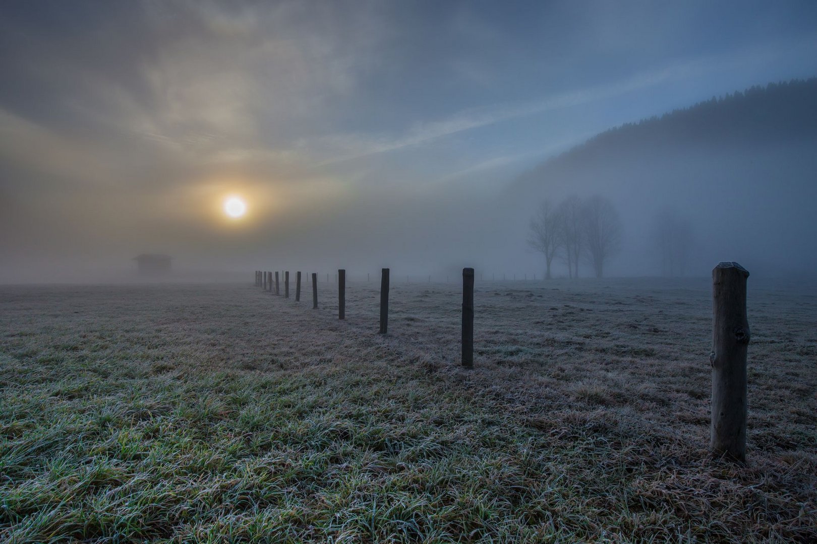 Nebliger,frostiger Morgen