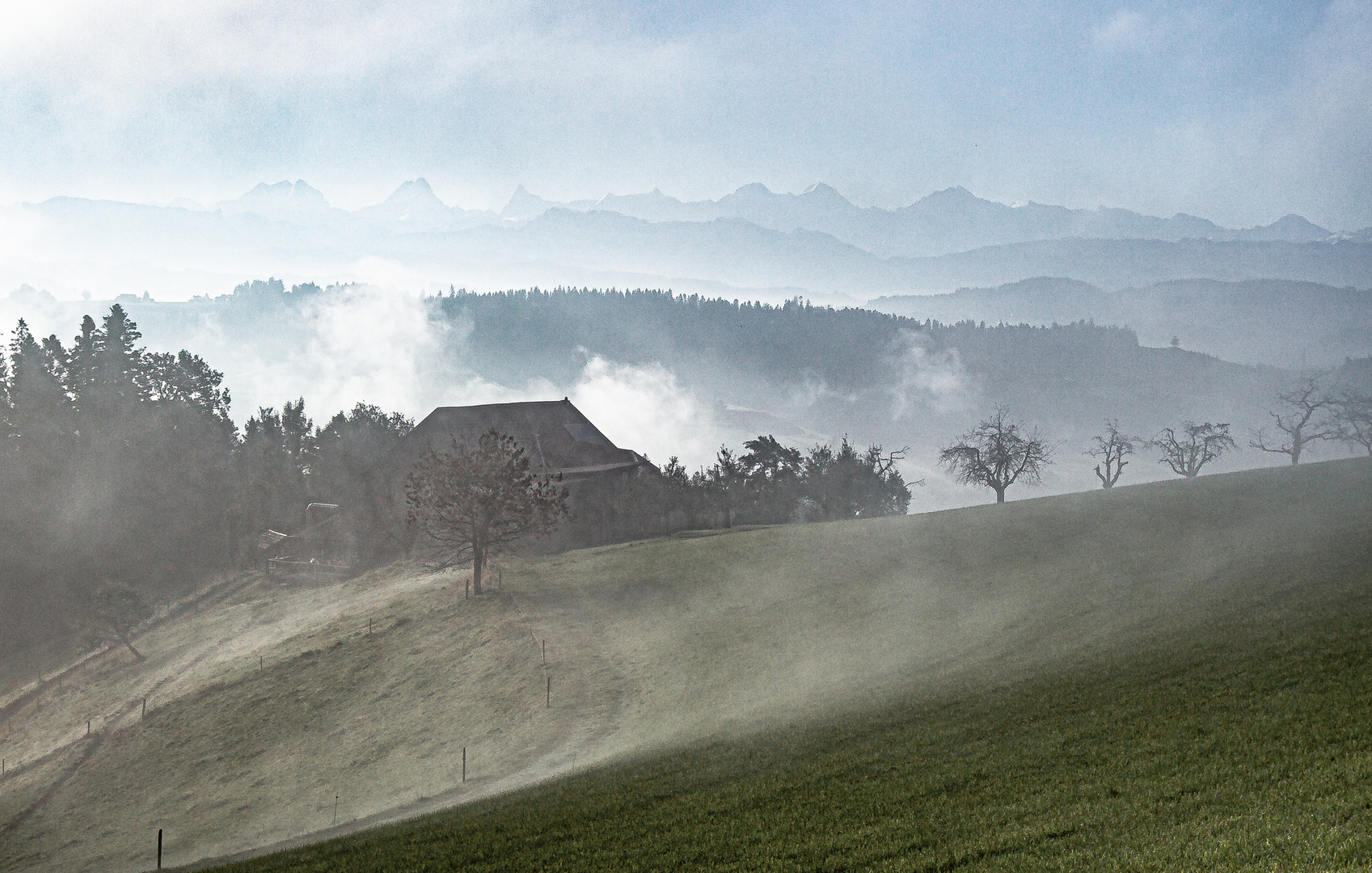 Nebliges Emmental