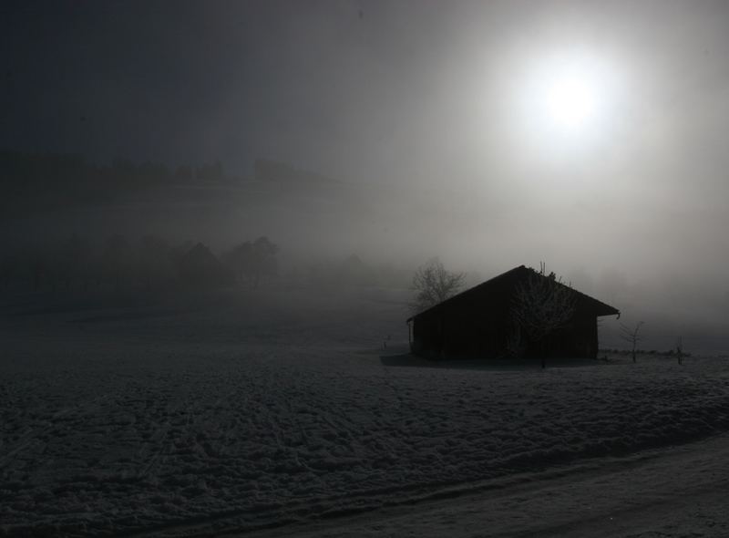 Nebliges Gegenlicht