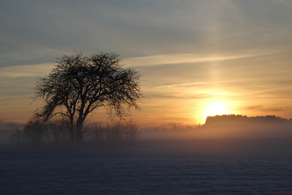 Nebliges Lichtspiel