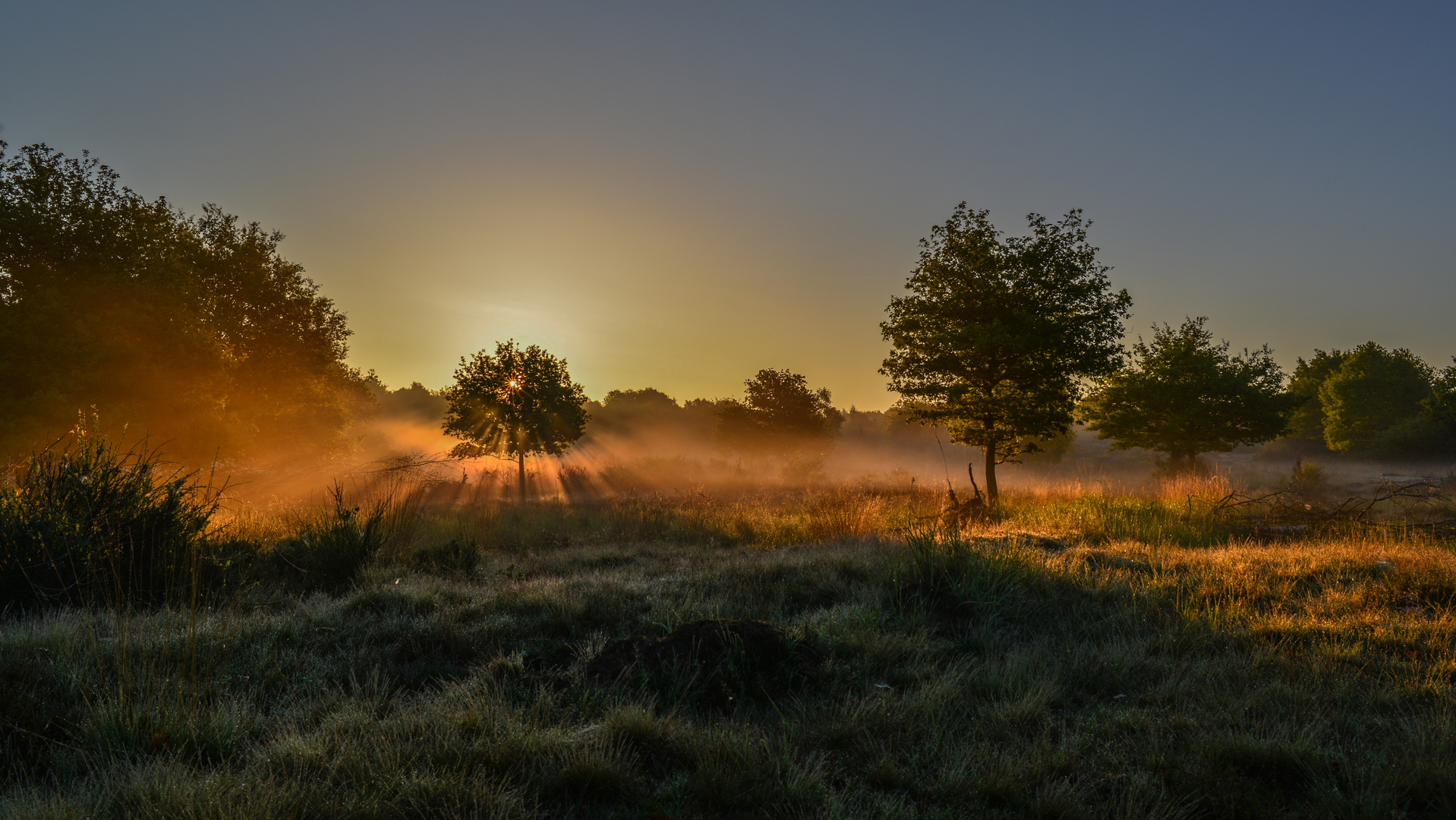 Nebliges Lichtspiel