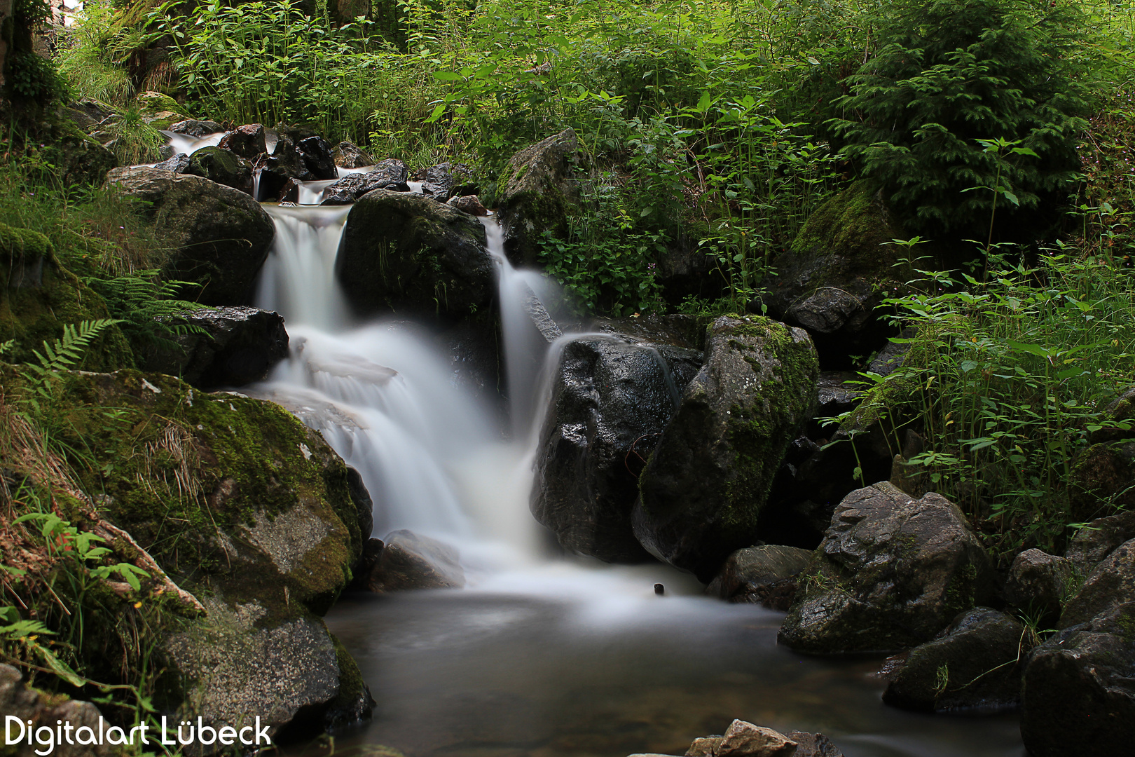 Nebliges Wasser