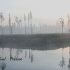 Neblina