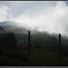 Neblina