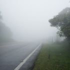 NEBLINA