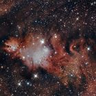 Nebulosa del Cono