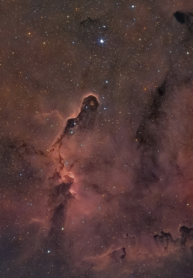 Nebulosa Proboscide di Elefante